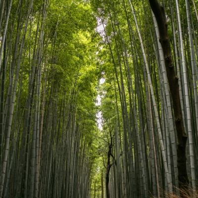 展会预告 | 3月25日-27日，igus...